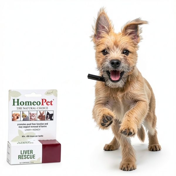 HomeoPet Liver Rescue Safe Natural Supplement 15ml for Cats Dogs-3