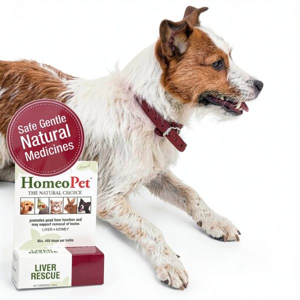 HomeoPet Liver Rescue Safe Natural Supplement 15ml for Cats Dogs-2