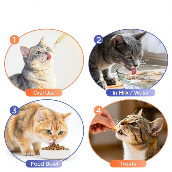 Hairball Treatment for Cats MALOVP Furball Remedy 2 Pack 60ml-4