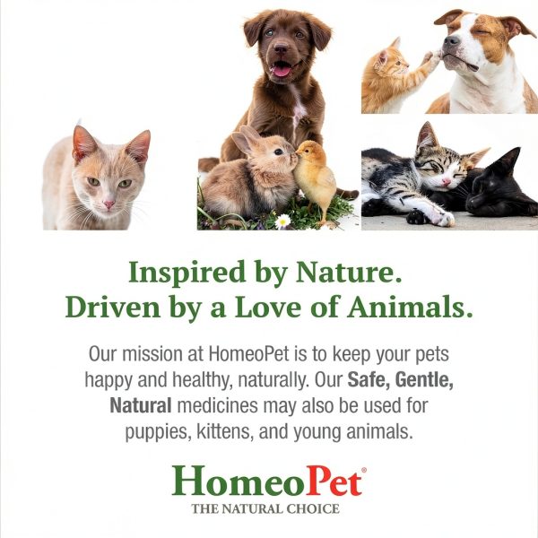 HomeoPet Liver Rescue Safe Natural Supplement 15ml for Cats Dogs-6